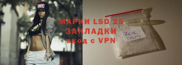 сатива Богородицк