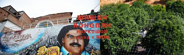 сатива Богородицк