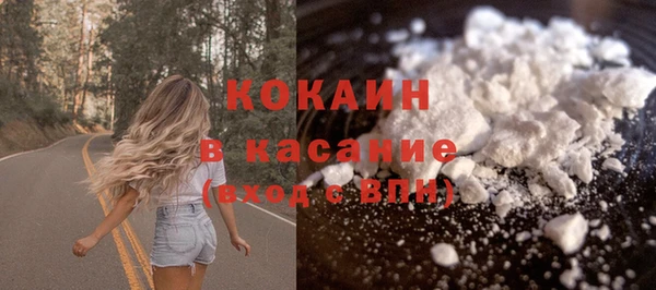 сатива Богородицк