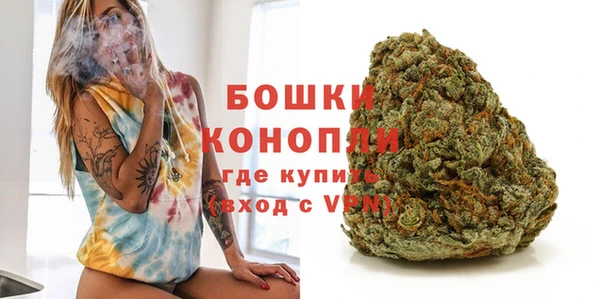 сатива Богородицк